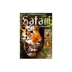 Leones / Tigres / Guepardos - Safari