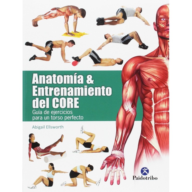 Anatomía & Entrenamiento Del Core (Deportes)