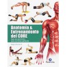 Anatomía & Entrenamiento Del Core (Deportes)