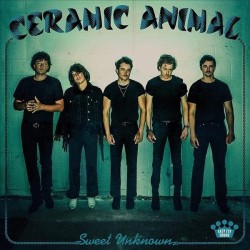 Sweet Unknown (Ceramic Animal) CD