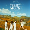 Walking Like We Do (The Big Moon) CD