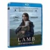 Lamb - BD