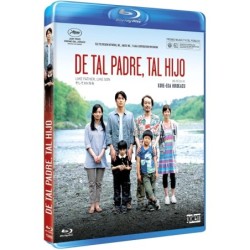 De Tal Padre, Tal Hijo [Blu-Ray] (2013)