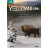 Yellowstone : Serie completa  Ed. Especi