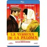 Comprar La Verbena De La Paloma (1963) (Blu-Ray) Dvd