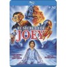 El Secreto De Joey (Blu-Ray)