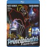 Principiantes (Blu-Ray)