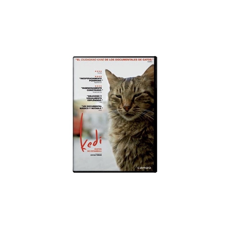 Comprar Kedi, Gatos De Estambul Dvd