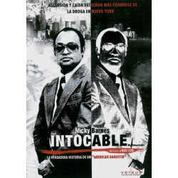 Comprar Intocable (Mr  Untouchable) Dvd