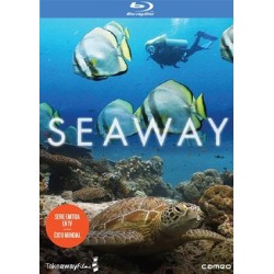 Comprar Seaway - La Serie Completa (Blu-Ray) Dvd