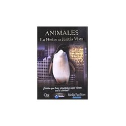Comprar LA HISTORIA JAMÁS VISTA  Pingüinos Dvd
