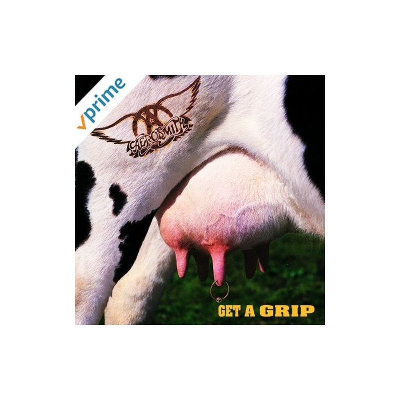 Get A Grip : Aerosmith (CD)