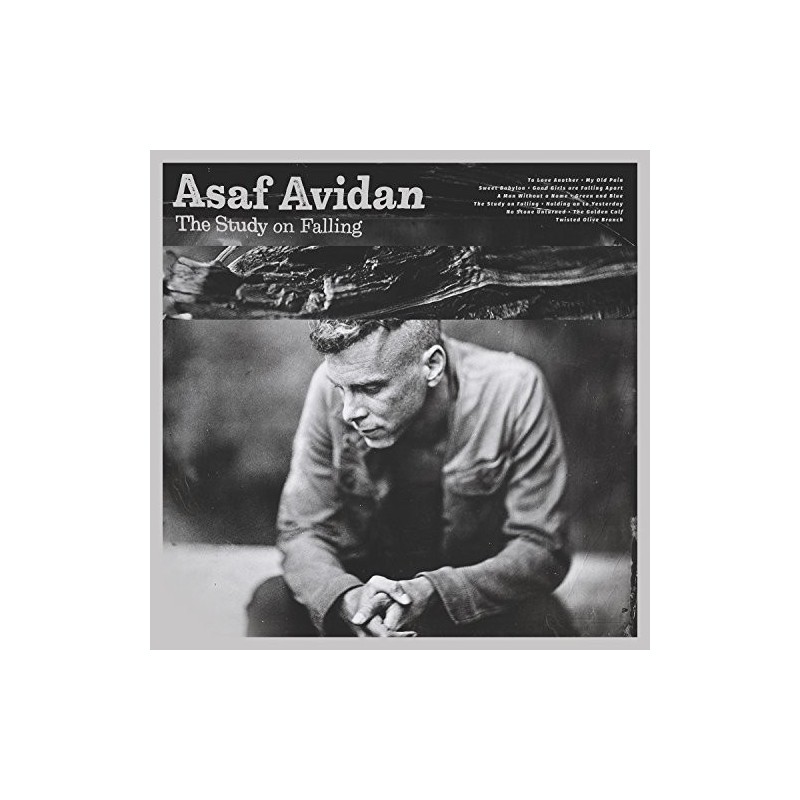 The Study On Falling (Asaf Avidan) CD